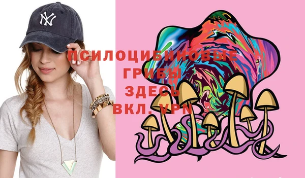 ешки Верея