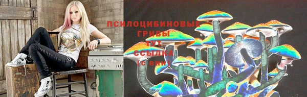 ешки Верея