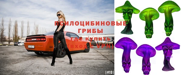 ешки Верея