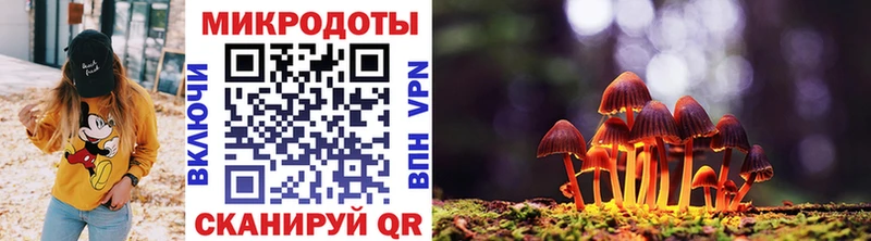 Псилоцибиновые грибы Cubensis  Купить закладки  Лебедянь 