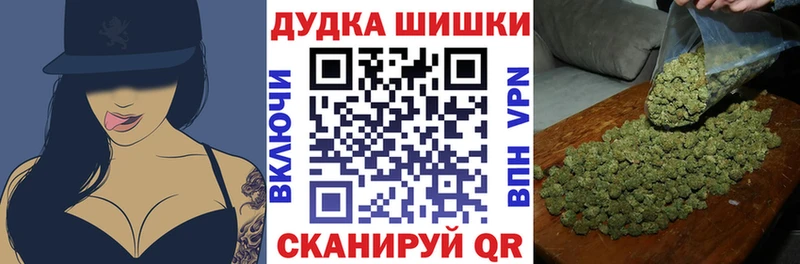 Купить где  Лебедянь  Конопля ГИДРОПОН 